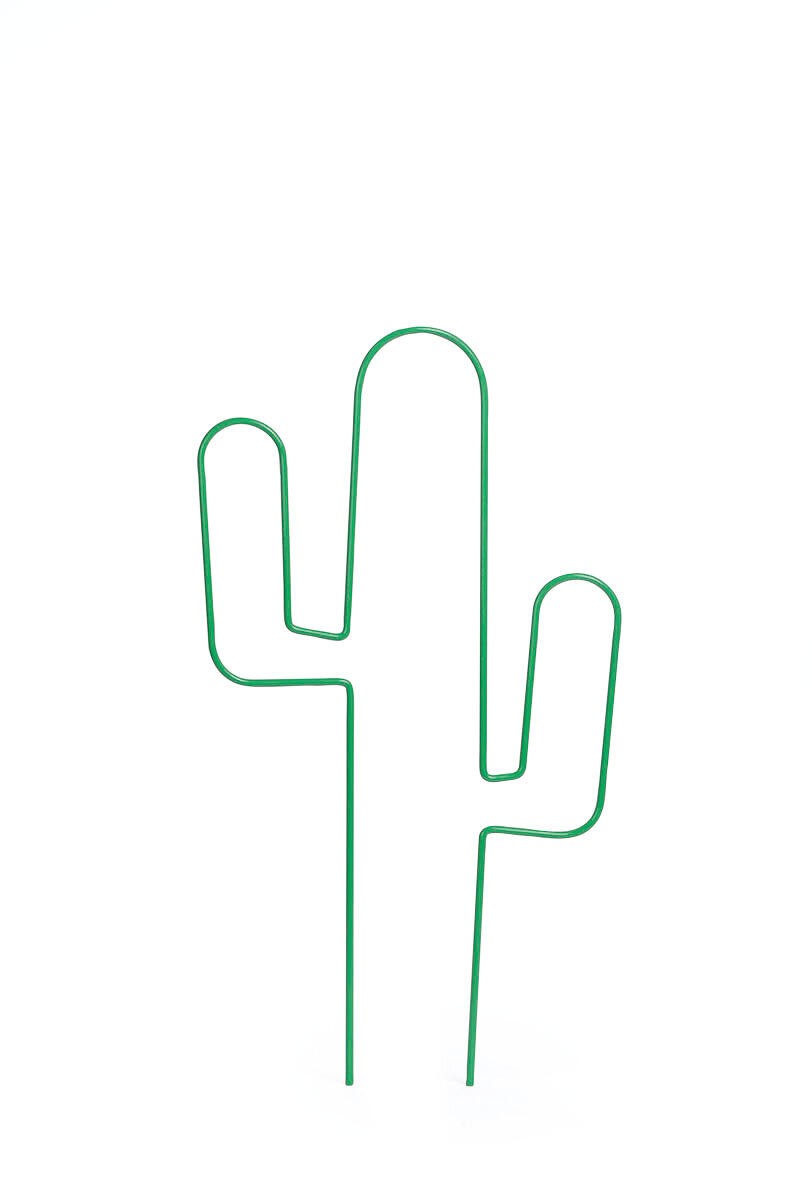Nelson Garden Krukspaljé Cactus