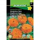Trädgårdsringblomma HORNUM Orange Porcupine