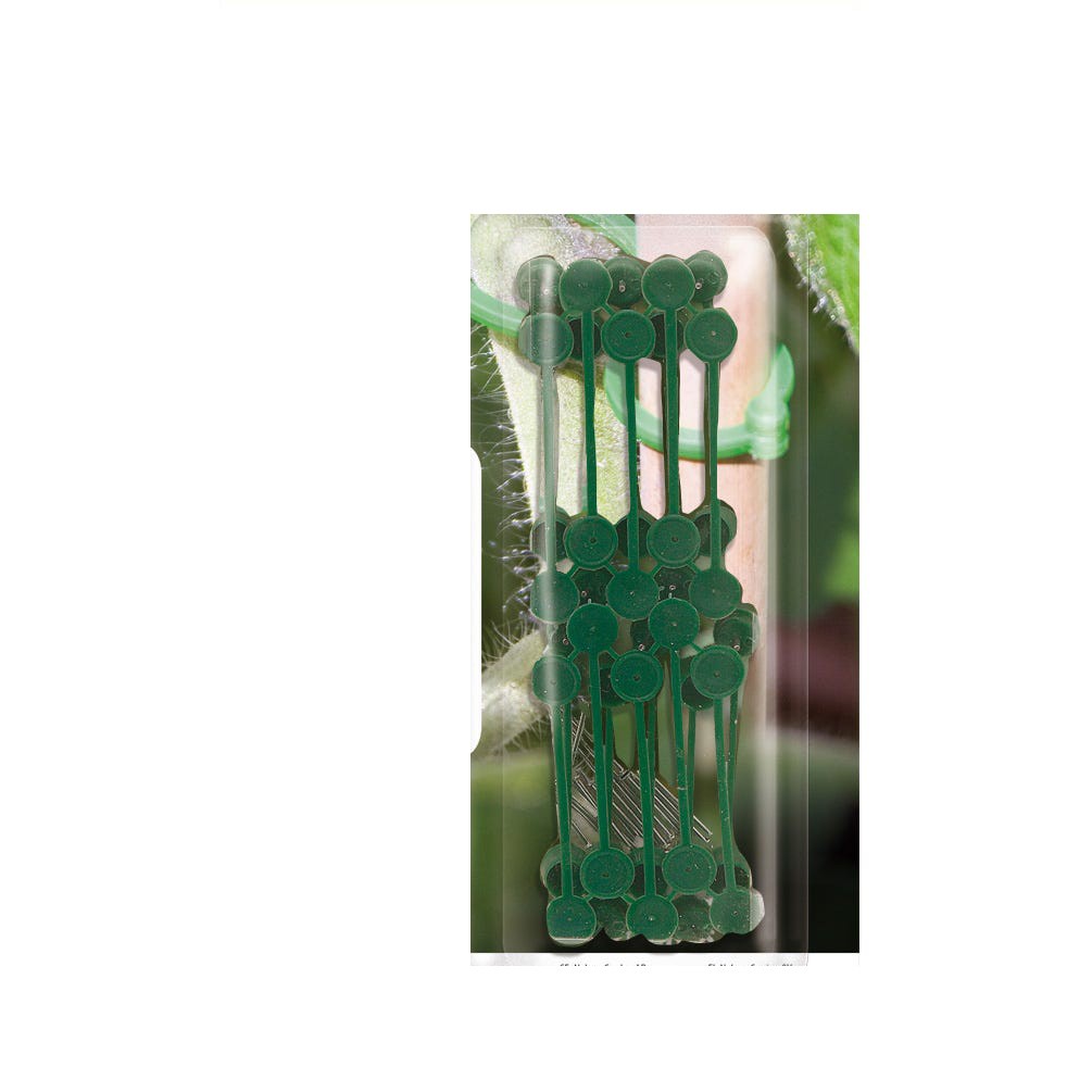 Nelson Garden Slingerväxthållare 20-Pack Grön